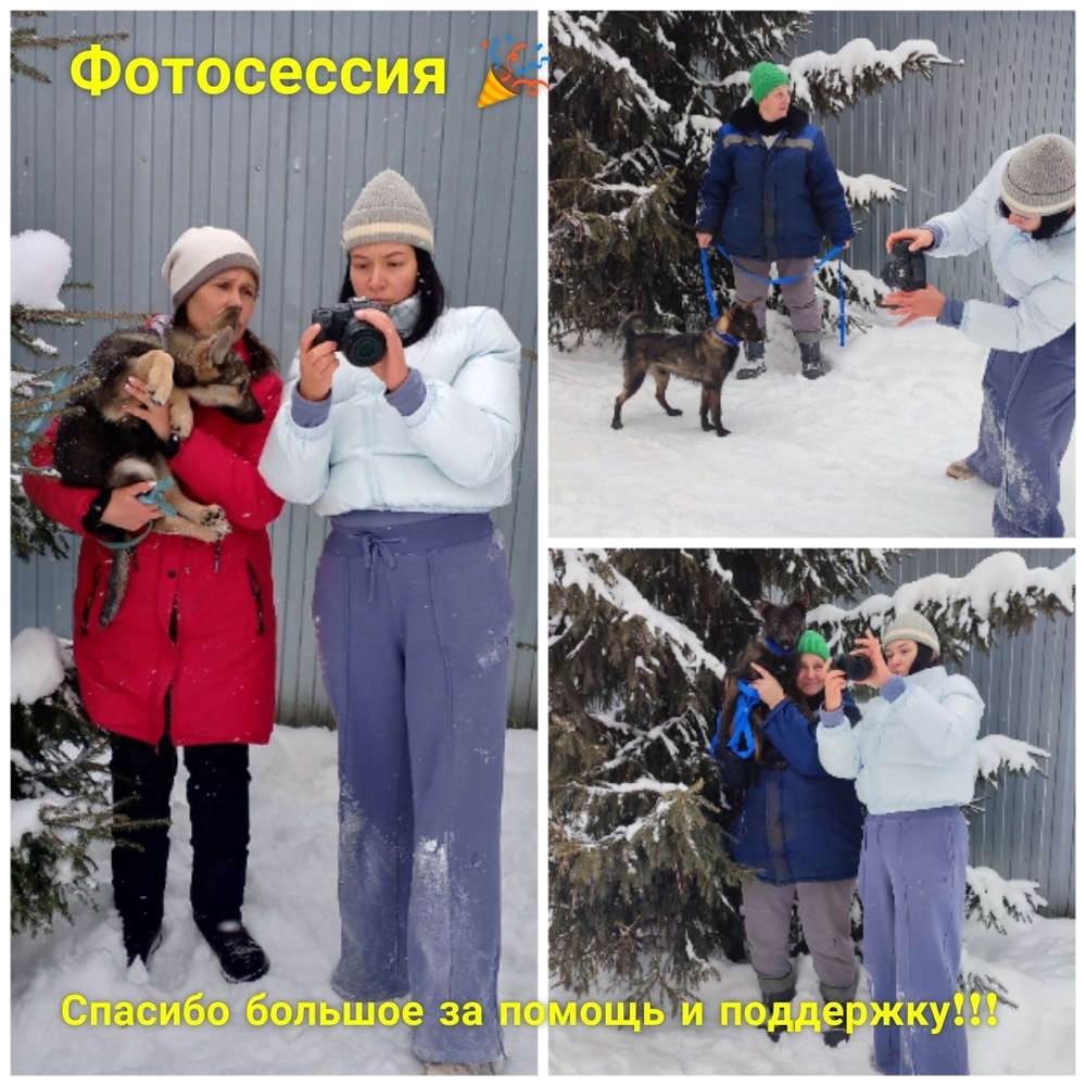 F8t0LuchTDNJqw99_fLuwAYsqA44JabnvX2hNdeS