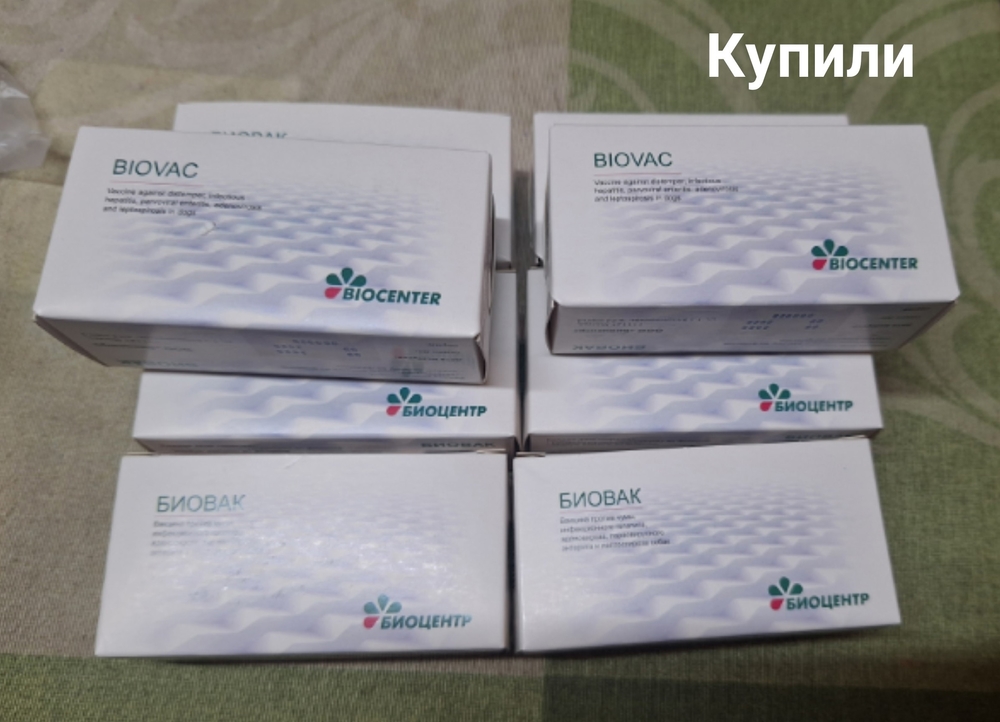 jgF-4EZ8gT1zAmfgBucVJ1gMZDHOj4N6TfkoZFON