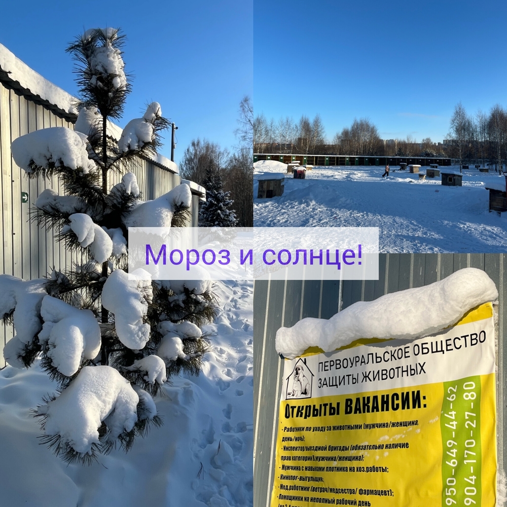 bwWToHWMlWpGTQOJPfqOzsYCOUtZJQkgRZn-eHiP