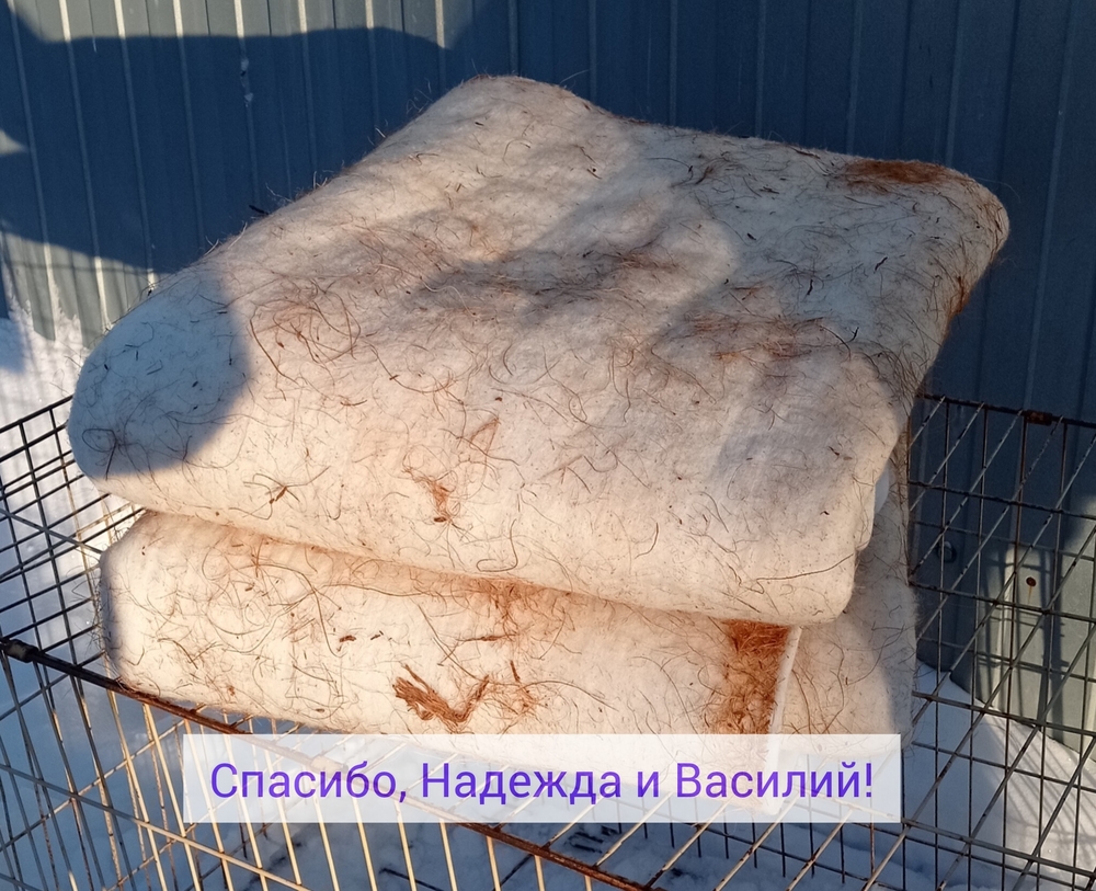 fRAyN19rBIObpV4LCrhPTicSqUz_jsIf5xPAuySq