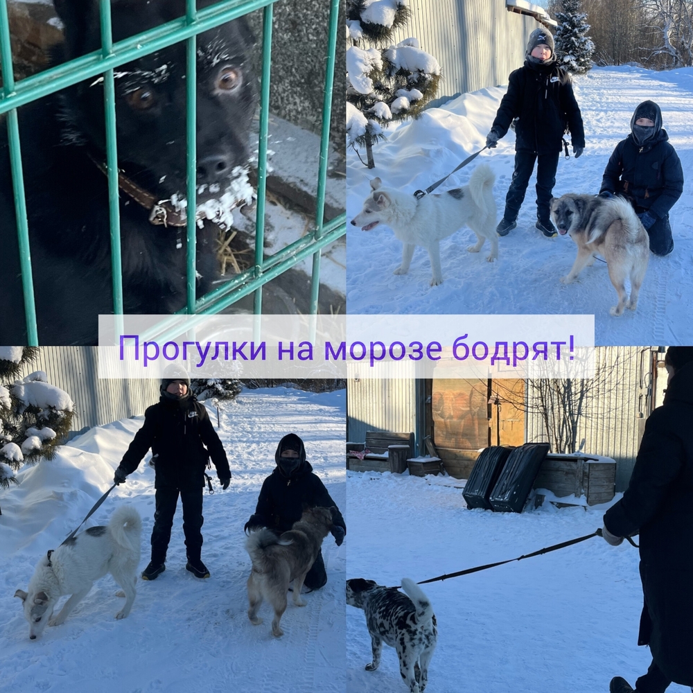 jPX4qCBe0Yvg8somA05Mp5tLFL147zNVaARk_7NM