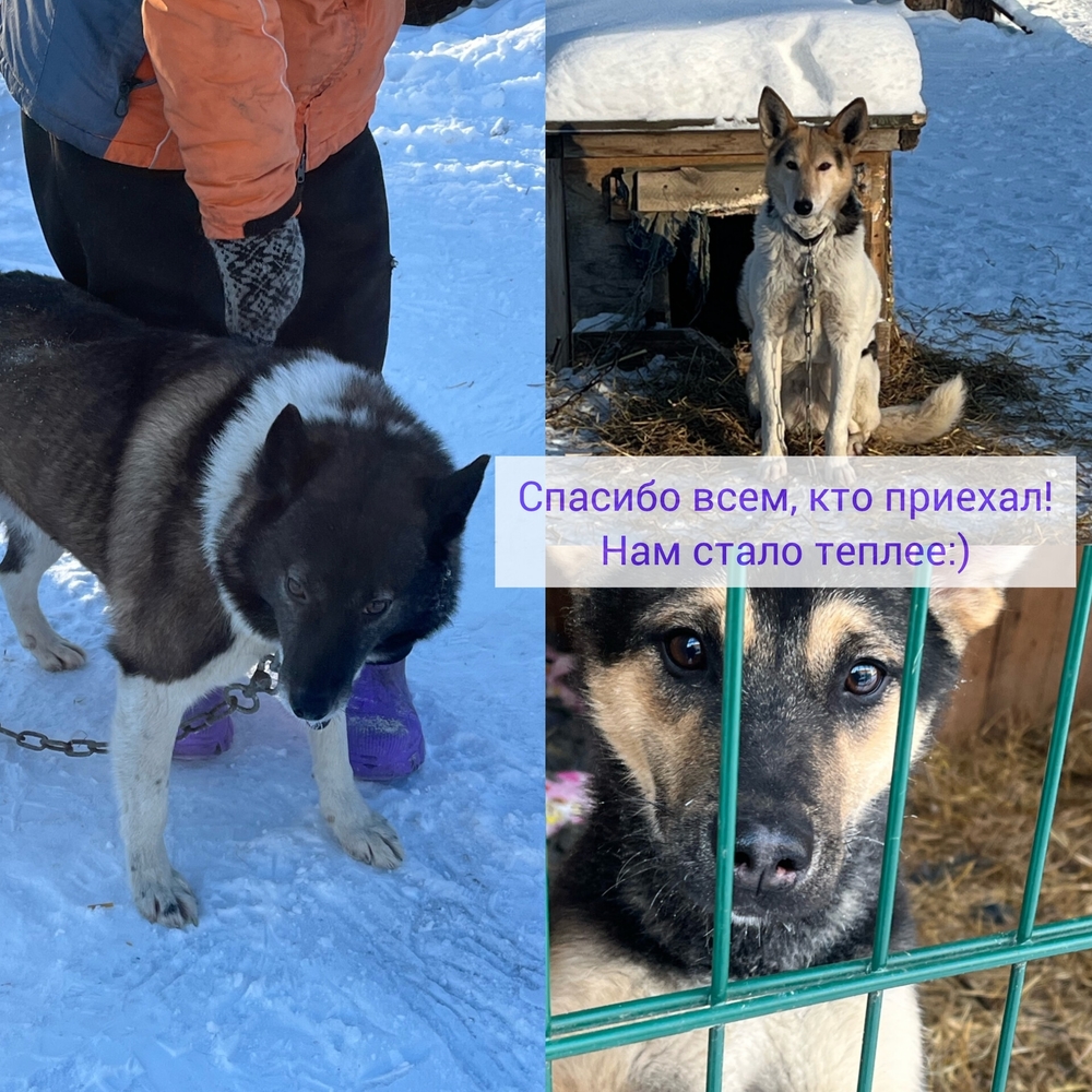 YTcihpkGLmqKMKRsIma2v7okrXJ9CYZKwni3OllW