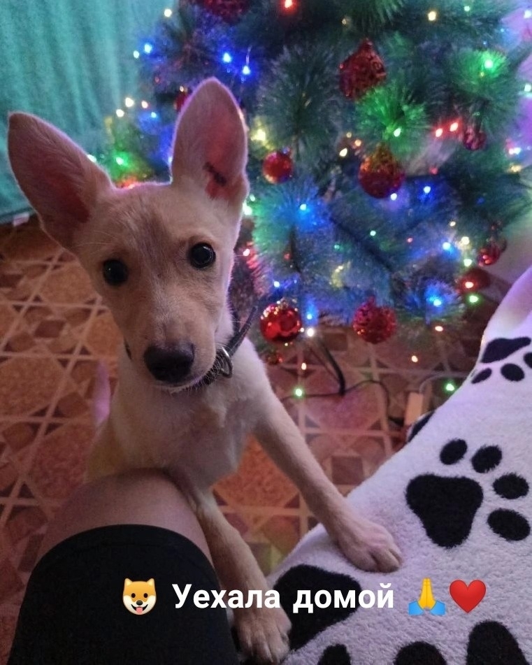 apqcauA5LXGtaXaTvhRowZX6Pa_Q9o-xbPP9iL7p