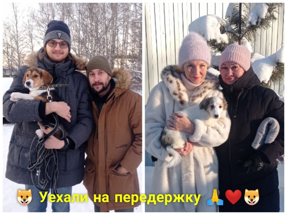 MLdu-hO4BzzRsUzNTA4bhd5EJOlfvrgEgWHRZ5Cq