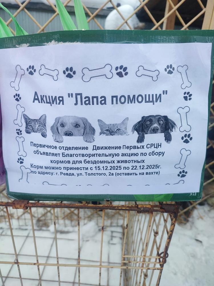 8tSAGmrpTAORGIvg0Mzik4id8uCOqItCI5NWjUgf