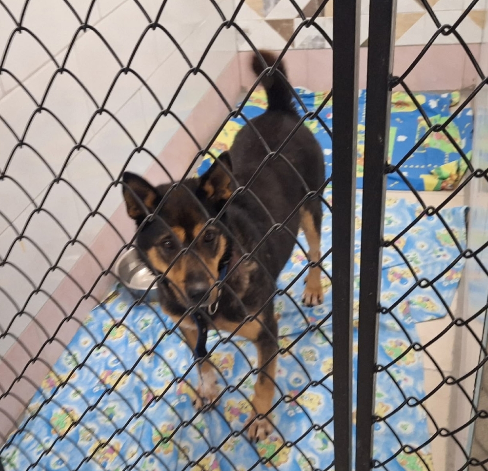 wVuWkD0895igYYJwtfNVdUP0jd3VAd6vL0x5vn2C