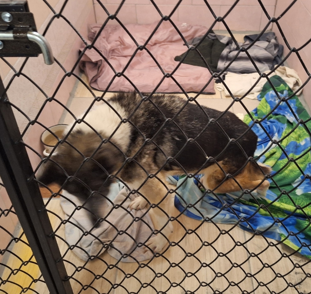 6ZwC4GJbGCGtaUg__5NB1ux8ddBvN5UyYOa1rR9U