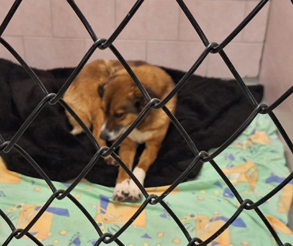 azW3_Qi7iVon9pE564a-R0mBlsXt8Y3Y59-wpqAX