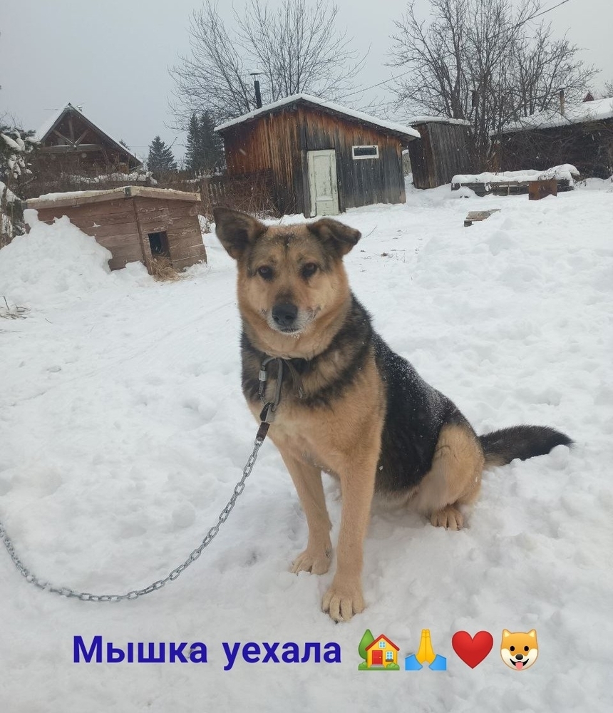 7fSfPStaHFjmmdv_CGCyC9NT-11X7QGVcGujrgo1