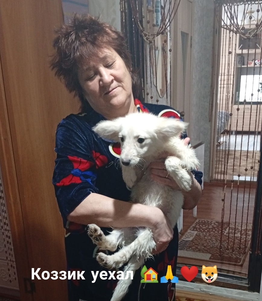 i_-oqL8tMnuA04fq9ej4pOMjAqtbFQn-3kWKLaQT