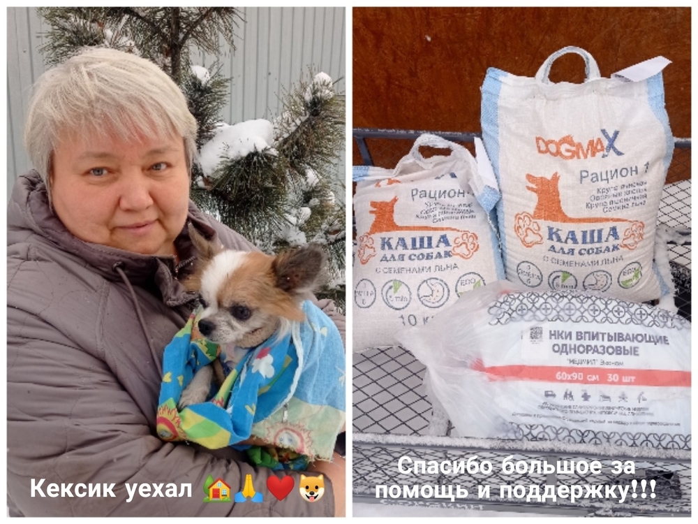 Lp8BonigRIRA0wUnp7Hffl2gUpv9pH_jXNJeWDA_