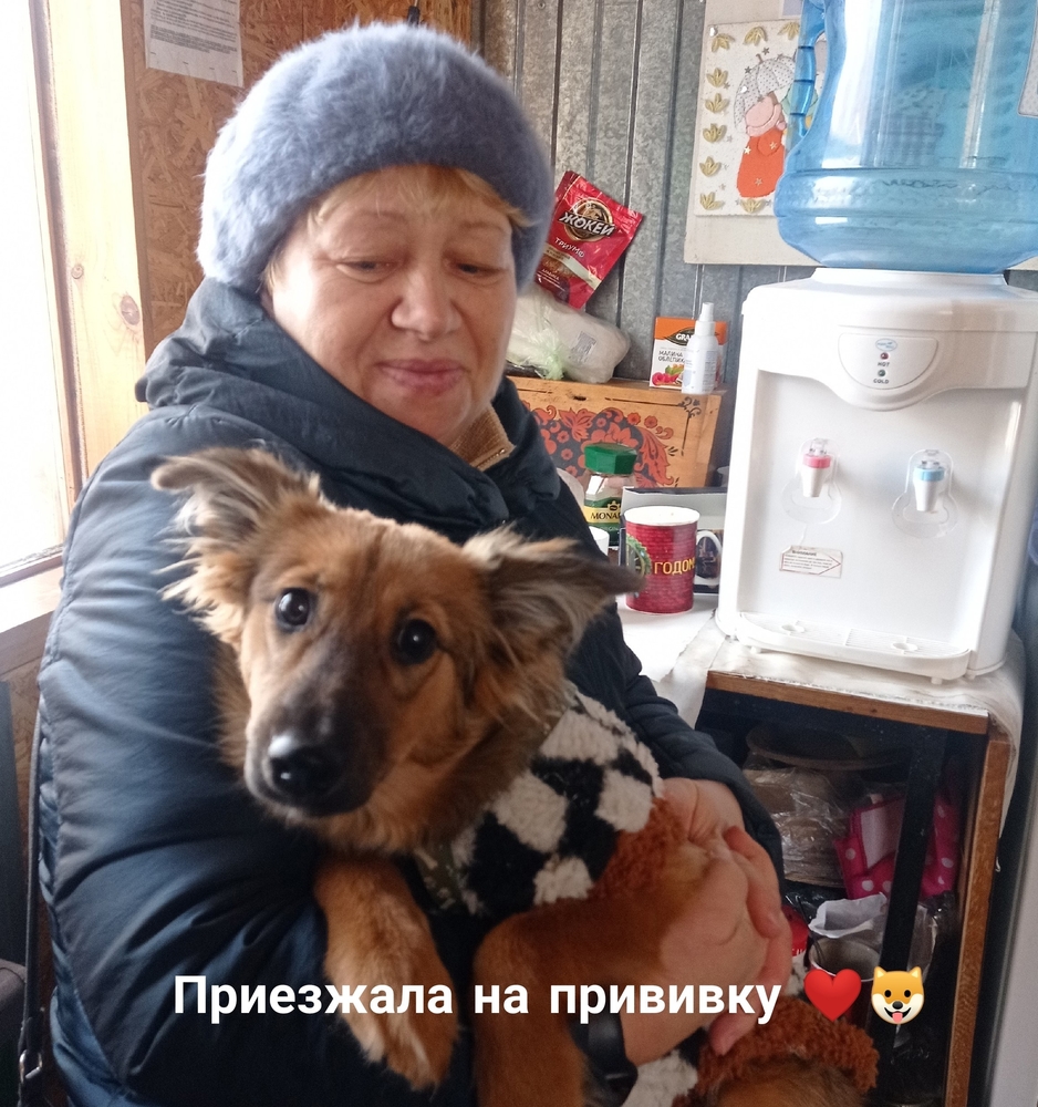 oENGLYSIU08vNHjb03mAghNGbmbHA30LrFnxyd3g