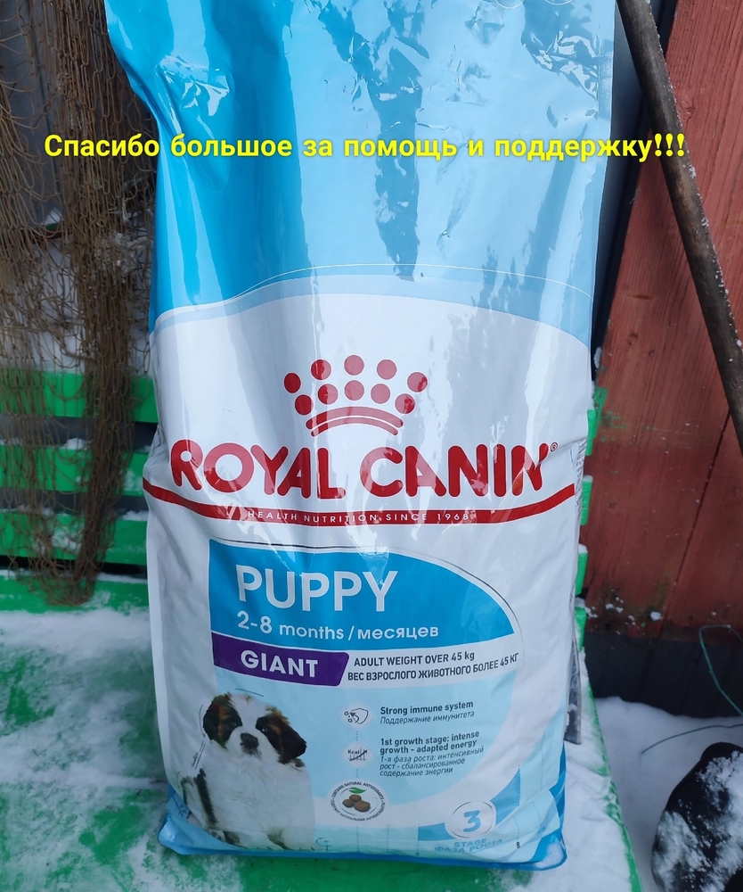 JisPm_5ugiOSvd1zgbXZamg9Hw3d9ZYLanySFQTw