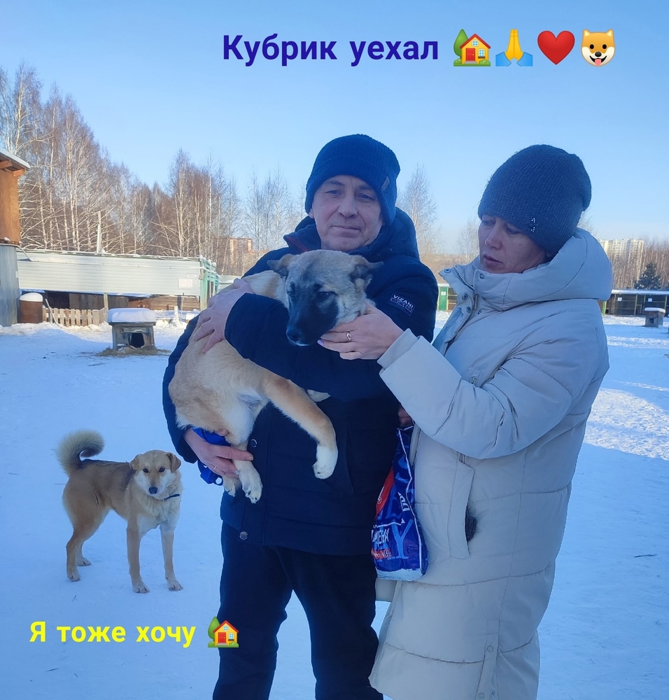 LIkueP2iM5zMKHGOfsMUKPggKXRb_XnFfipX1JQ8