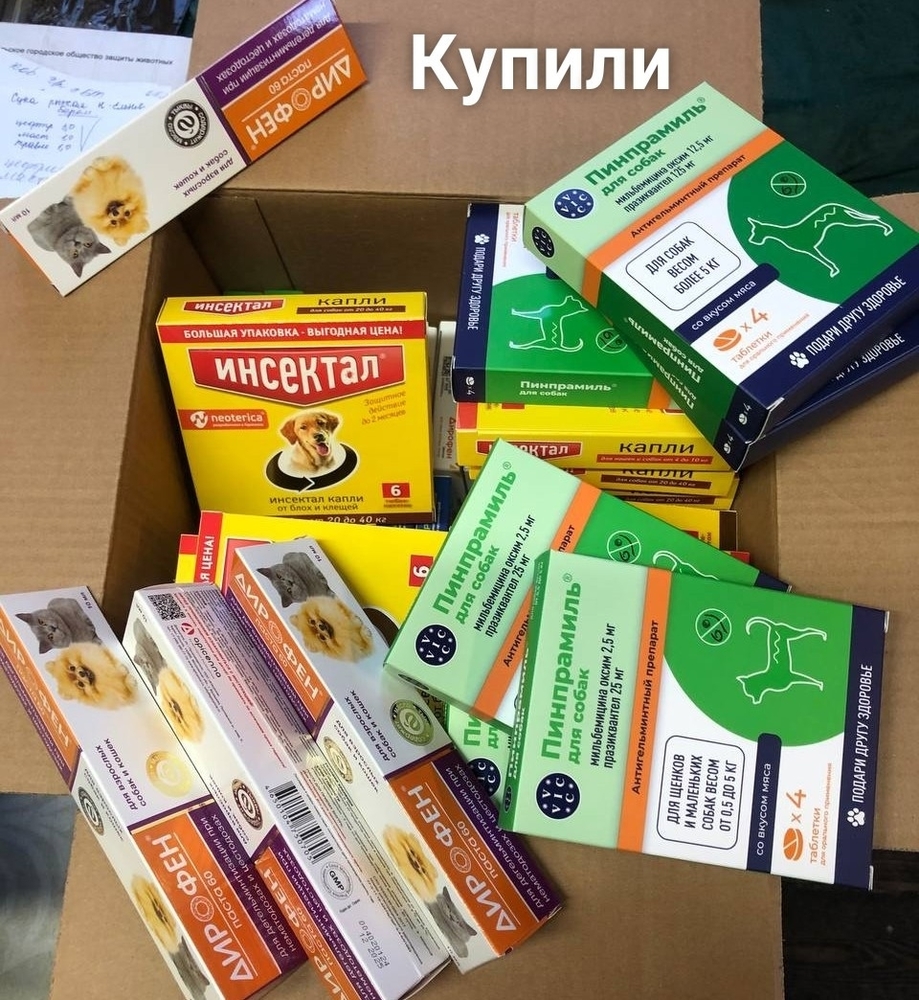 RxjiW6BVoPP3w-1vvVnvpmIXoO6ePjD8_pD3XkbQ