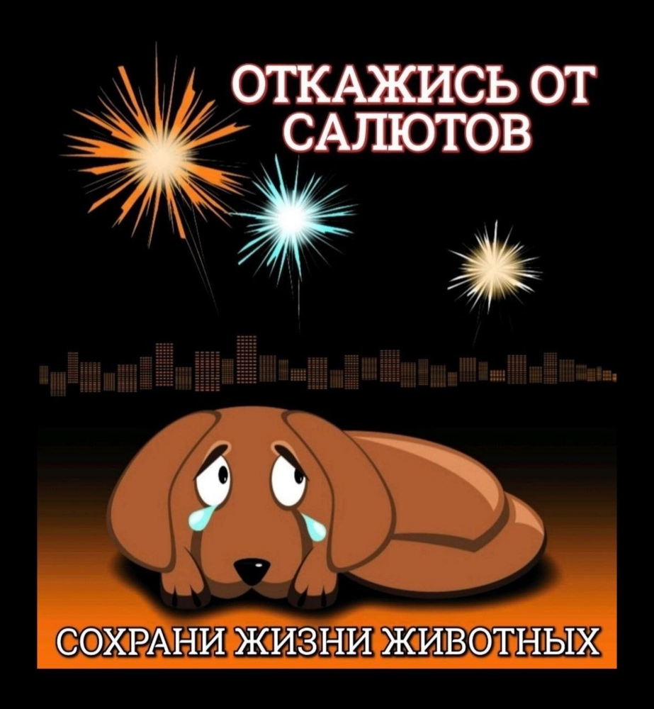 y5ldEdW5fnhH8EvnoCNdzoVU3MIc8jC9kuGVcvrC