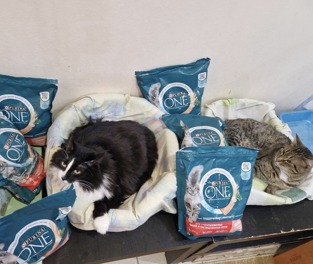 P1f4W-X34vIjfpgxXLt0SH-Wd6LA9DsnqVQNuGt8