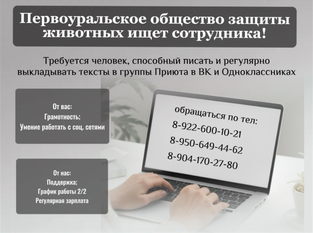 zKZOJvyo63y7EcoQCrWn_HODuz-0G7_jvpQBGt9m