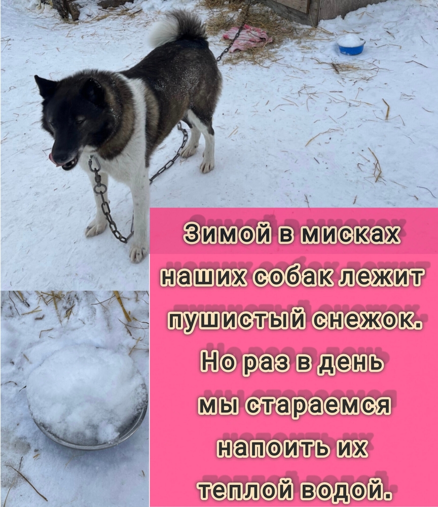 6mLsnnw39t6gmGoDjNar1q6gvvLQf4KTOnEwj_m9