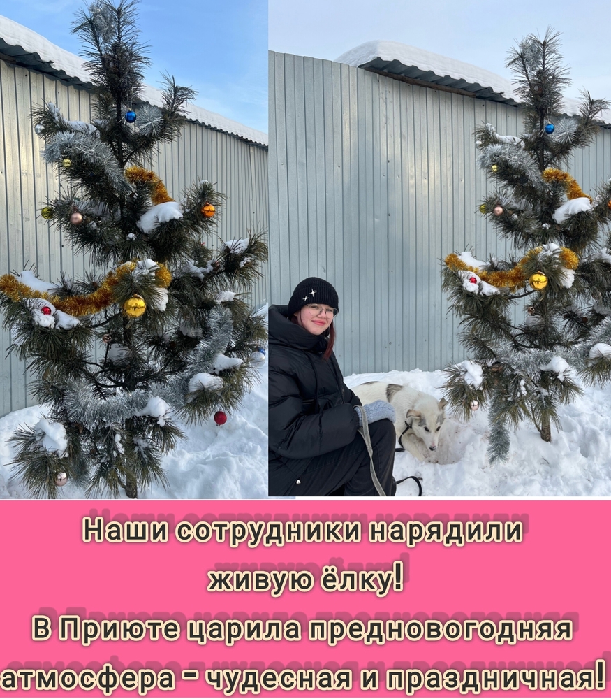 Dm91VXXTJdoSb2Ie-EEKVkfPXNhYxxVszMowTOEF