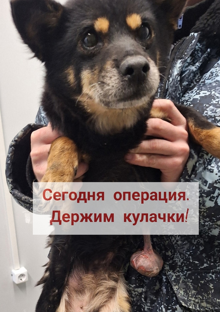 WEEL3sQf-G8wsbAo90Z4xFBPLV0vpJW4rLrj_TWO