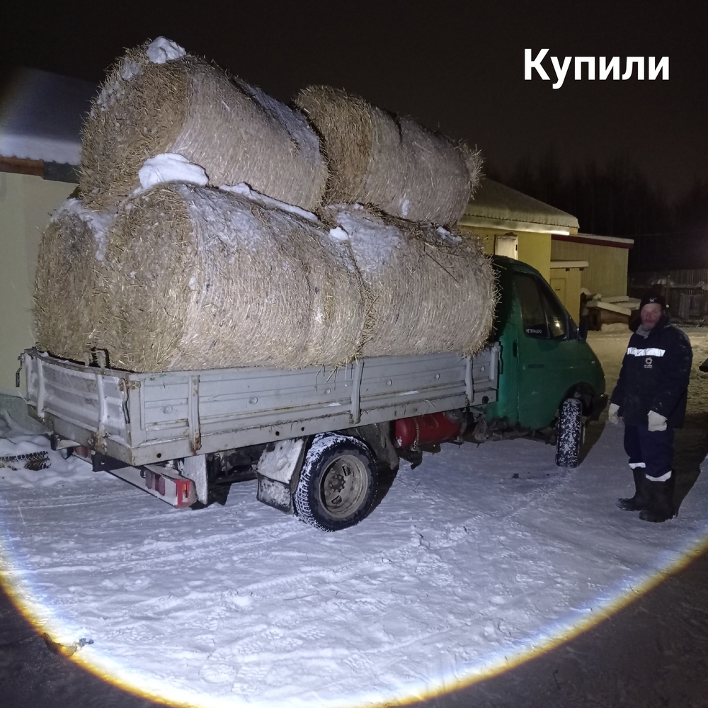 2vuB4LddAJmb_hunfeO9Doe6yyrHghx43legieRT