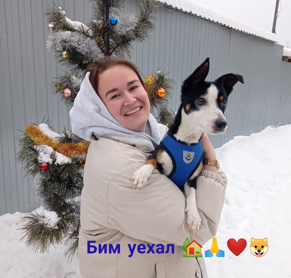 4Kfq8uUk7UXMJdiYOJYXs27CwlRpkB2pBJnjYDi-