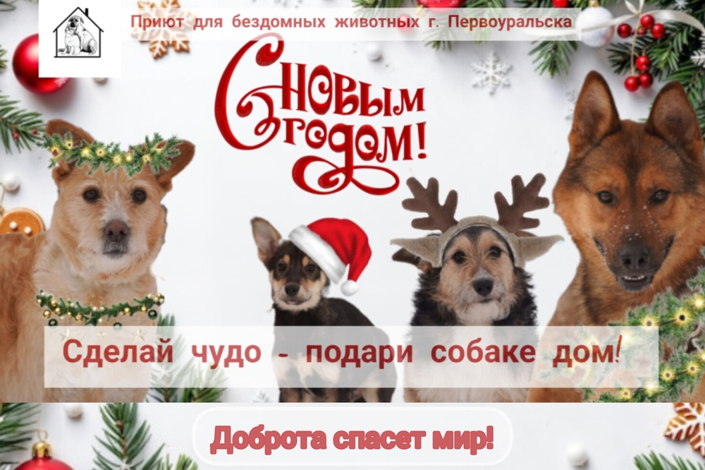 ScE5x2Hc-MEccJ15IhtkOOMF4xJ3BQfvCRatJlrj