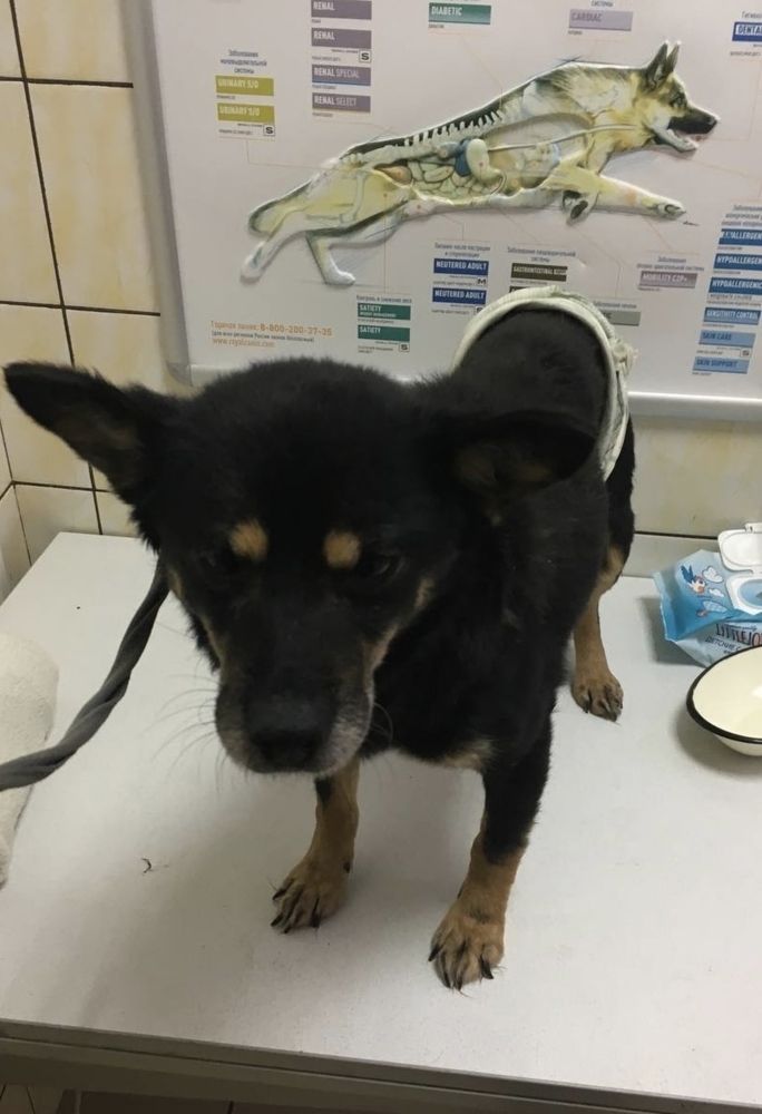 4IOBXCw1LFOeqREf-_819JRAIwOXp8dxKGz4TkCR