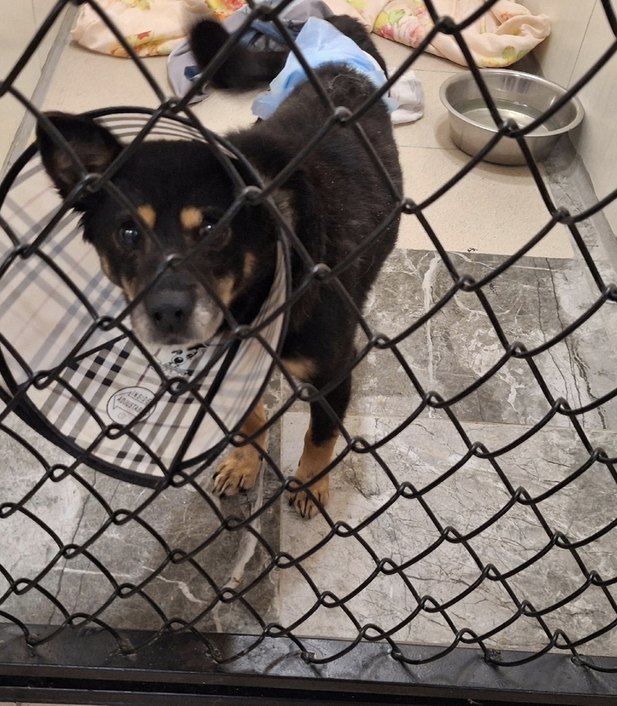 T7BF4NaB4TiK_HL--SPByTNyEpNbO9CYqMhiQ6vt