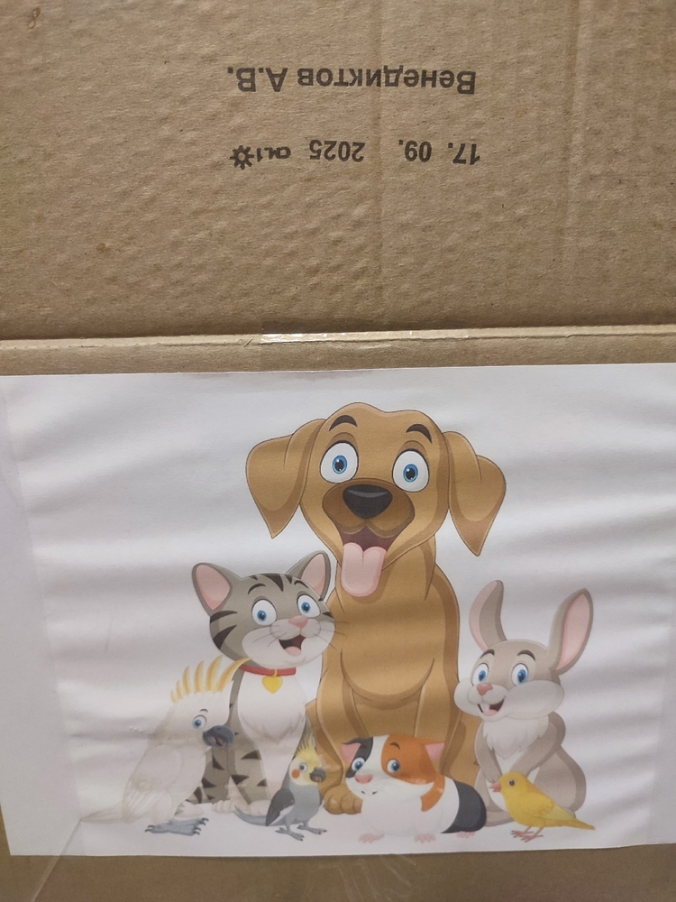 -XrdwQbNHSEsRPekieQpqc3azs_5tT_rDzVnU-rj