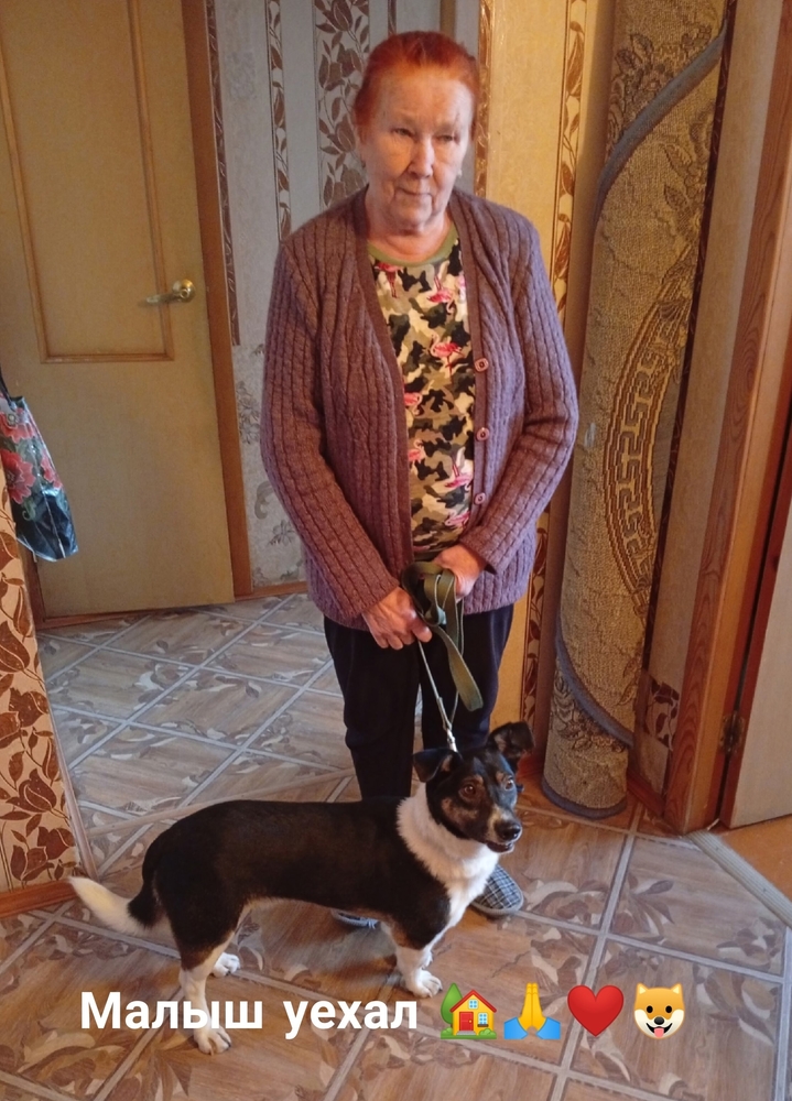 pOPPuv_ovbM25GZuIubdg4L036aTJhw6A0wTee6l