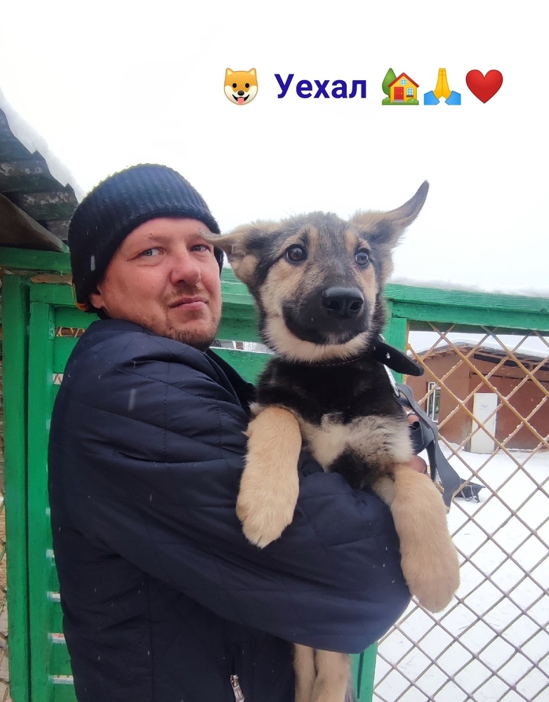 SOSrJ5GbeINrWYMee7kp6qJoj0PHQTM9he2yO0Ih