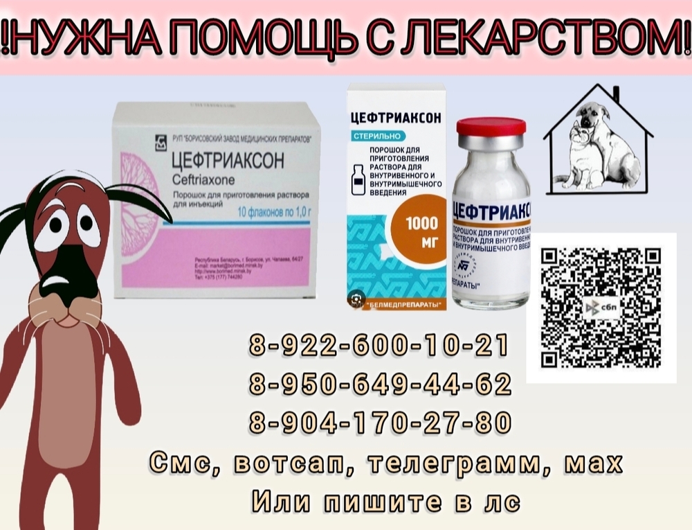 r9QhWkfODV8OR6VvA40Z2W6anT6FcWILC1I39OhO