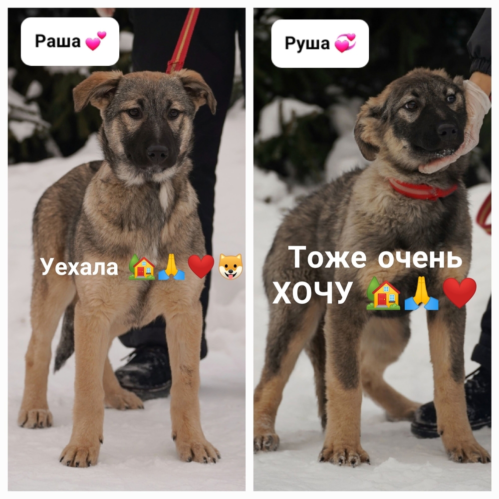 i4S68YwysR54iEJBi8UrAoSaz_8H7w2TnXSmYy4F