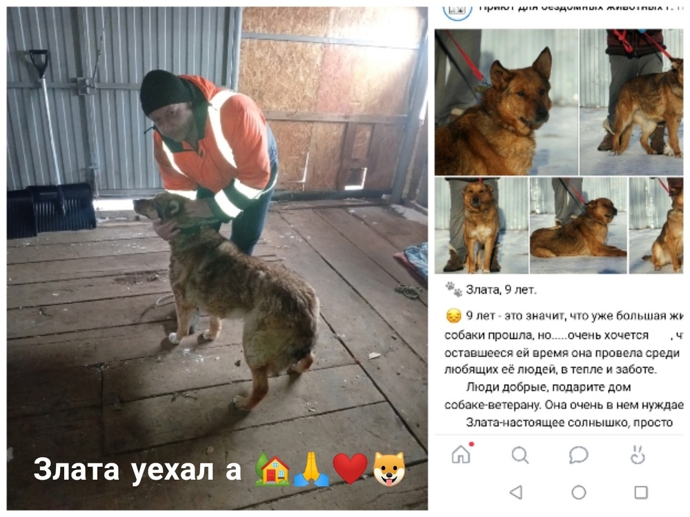 Z3TCLJFqRW9FnsF9xvIm4xKum_cfki90Jn-e87IS