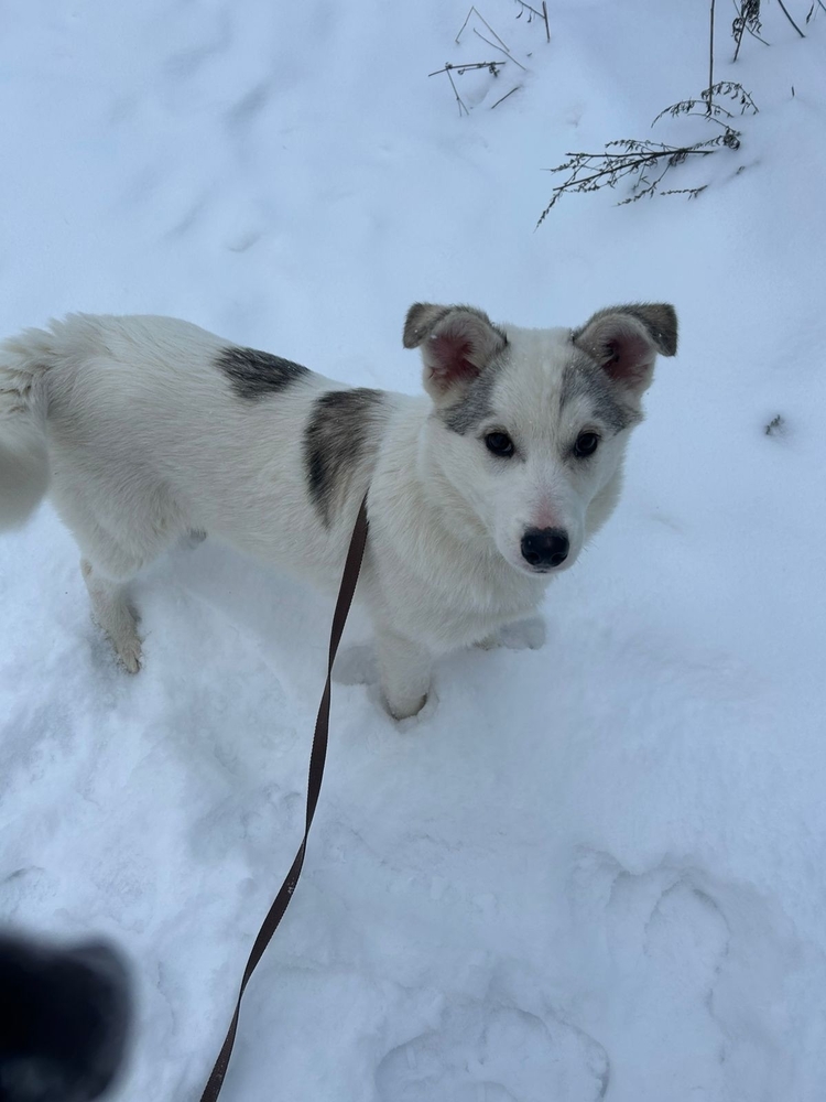 kTDnNf6L9td8aCiAuJojqd6LHaSxJ-LeWwDNW9iV