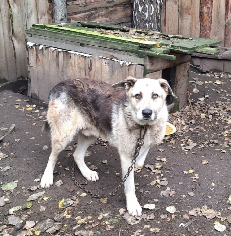 70tc1wRCiXsBUW8byhkR6FtPctFNw05Ht9IP6WCj