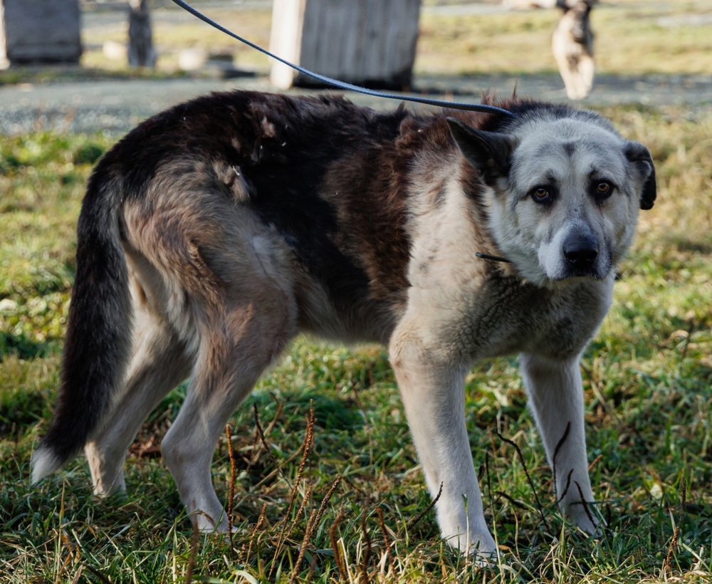 bMgIAbq81VbqqTyynto_E58NE4R2vltug5oAq0p0