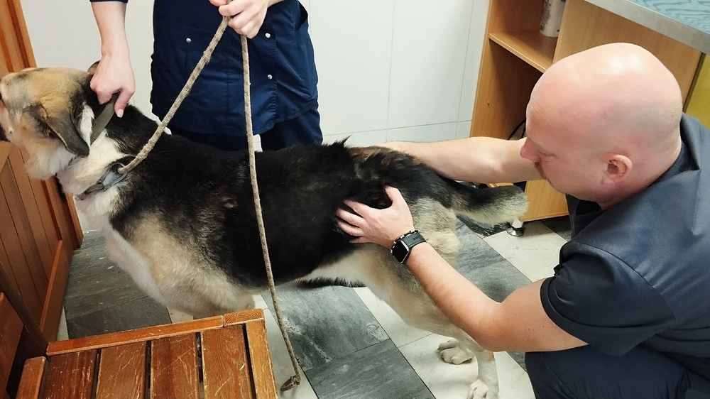 mXBsPRPIwUZR-Tczx0hZtp1_6JRJ2rPPYC-Vsvvd