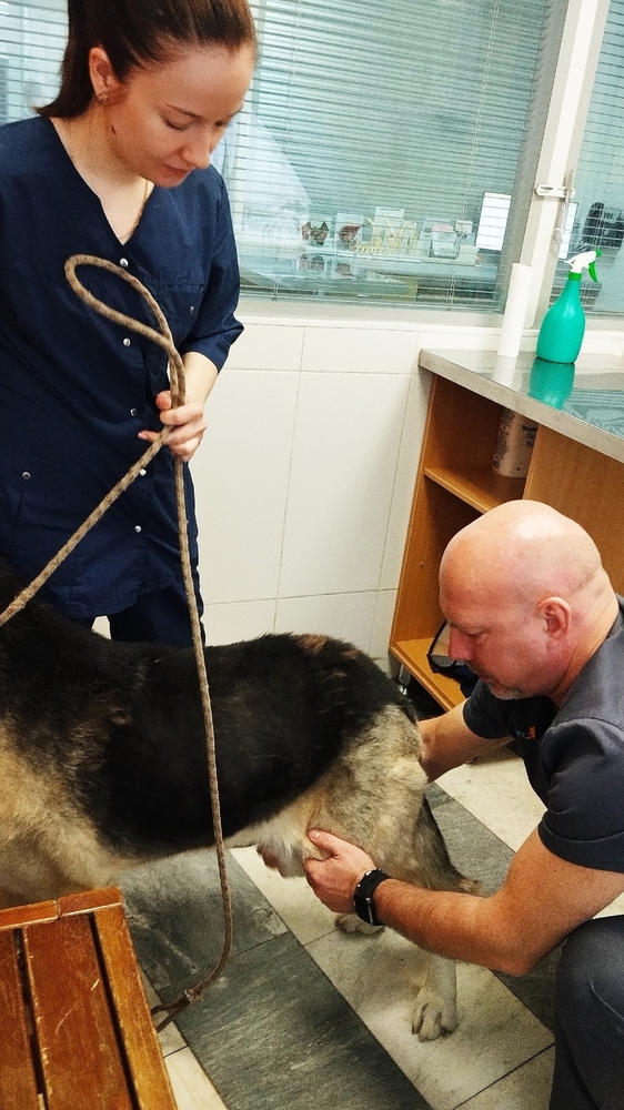 rLYpKUN_FWDxP2ugCp1d7ai0S1GwkqzgNhE9v2V5