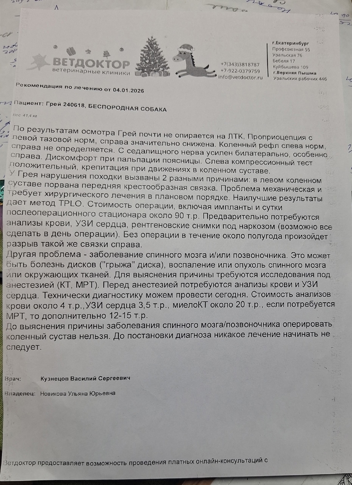 s9GkbBRR369TyhPsVVed1jv2s4EVHx8Z5JuGYWS1