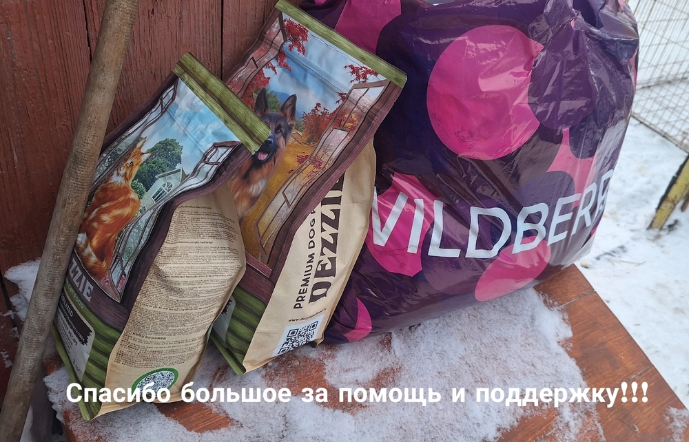 wDCIaAcg3vESGcXbqkl-VuXOF3r8u4_LdnNwYe6e