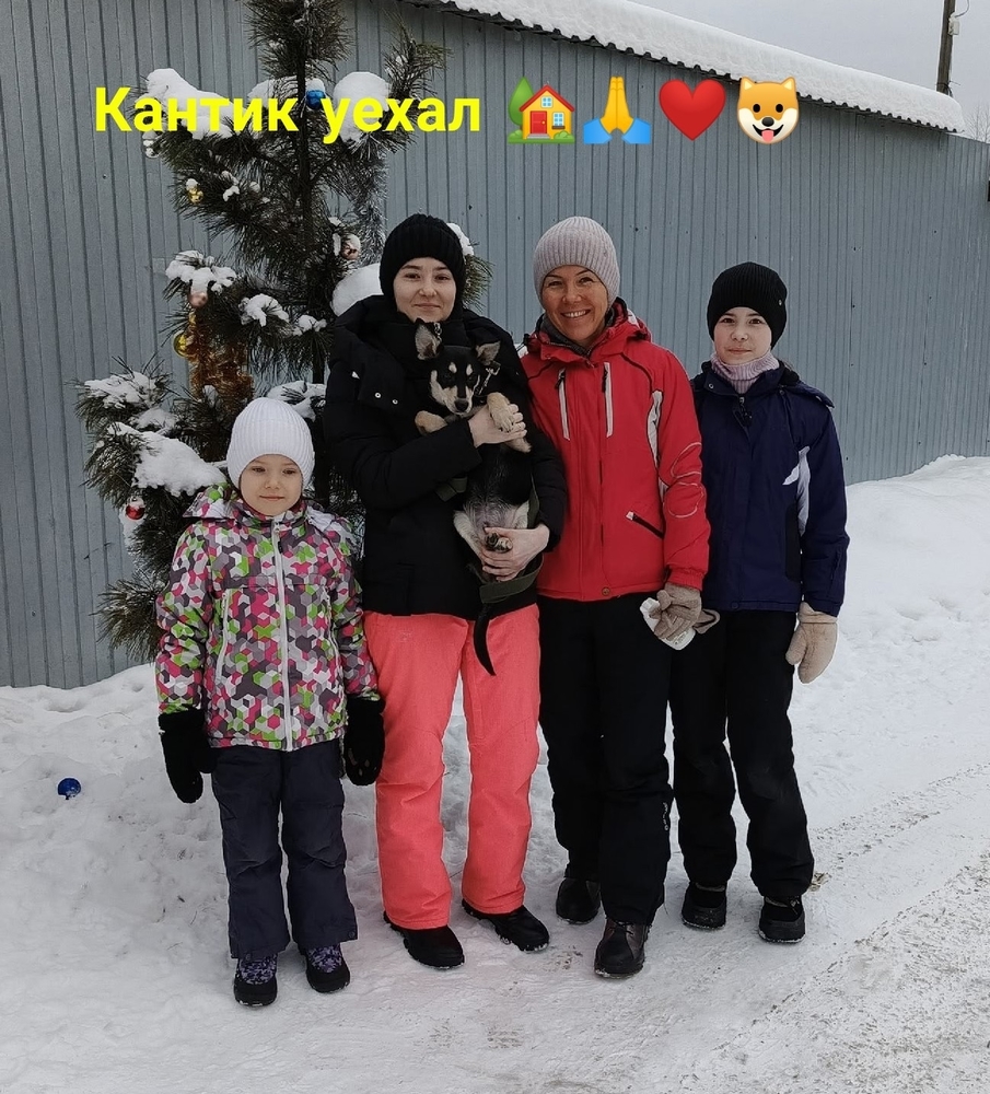 ZLKTSiKRG0nkdCoP1BGpD1RsmXEV38moy1IU7LE5