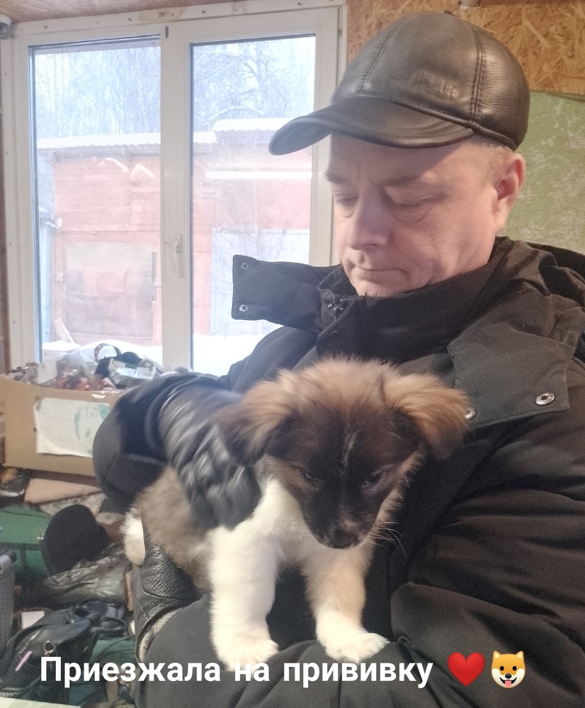 CFDZUujpBmL6tNXj4n9GOPlt89XpjyuLaIERy6rS