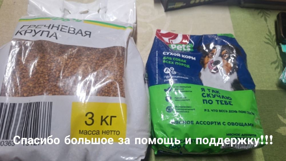 GrG8gKWliVo9hAYdqT3tIZUGdMkkt6vGZUKhY0s-