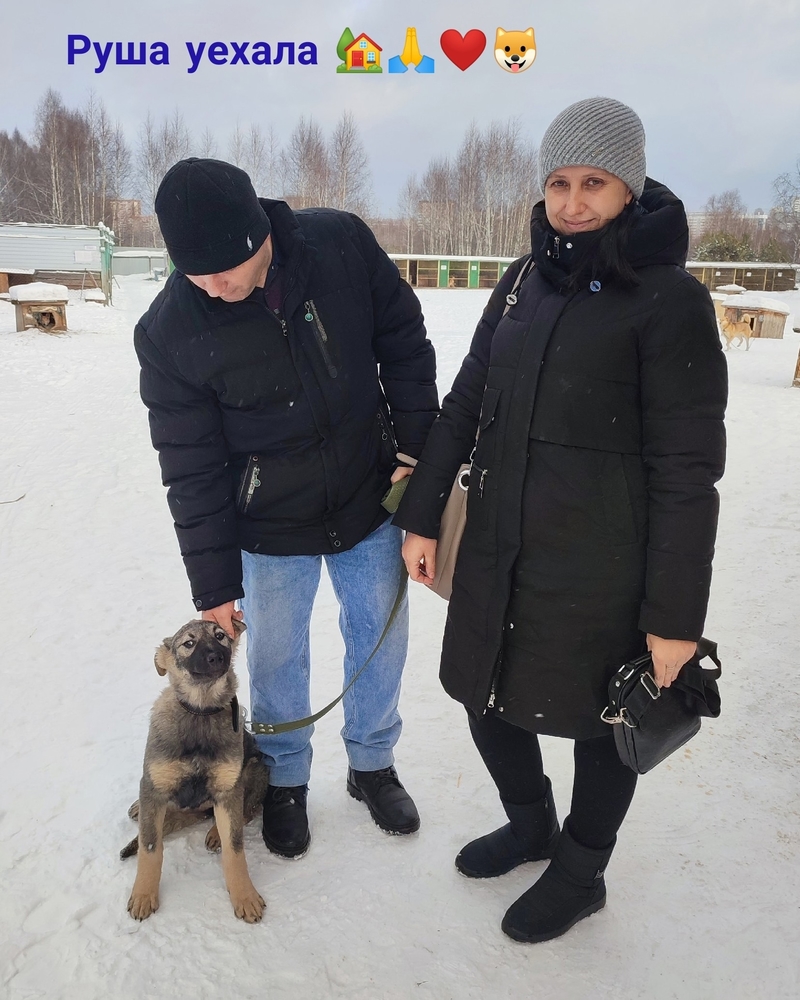 tJeEL3vg8GshPRiVECUuVuou7kM1b1ZAEmnnSv4Y