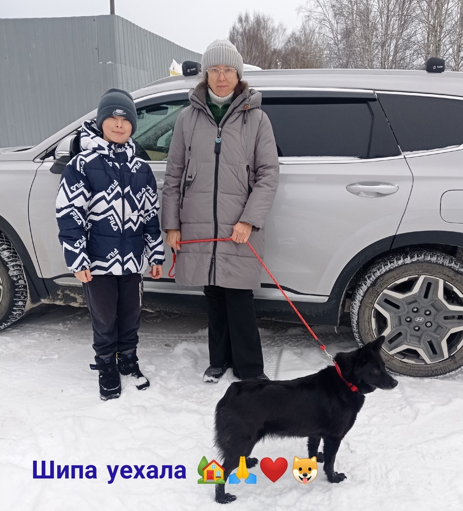 WC2Z1Z19nwVdlgBQ3RNbyo35MbZAgHY09EHzsqjt