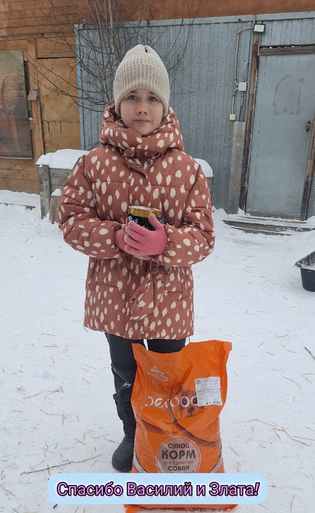 yppbOhDTrIATJmYGx1vbEuFYDPAVvbgoH-6bZ97b