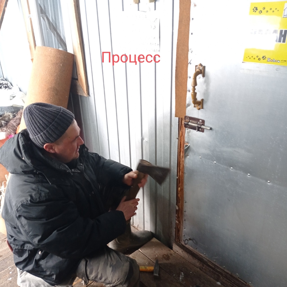 8ZQBETyhZIh1dkGhwlnNPGhLn0TQ8lhKxpLzridV